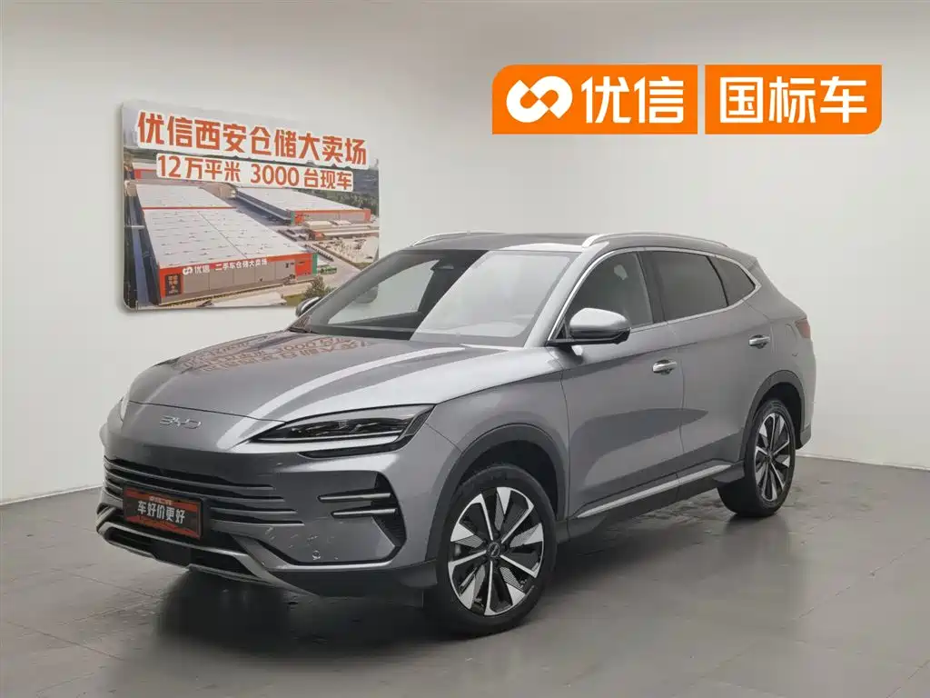 BYD PLUS New Energy 2024