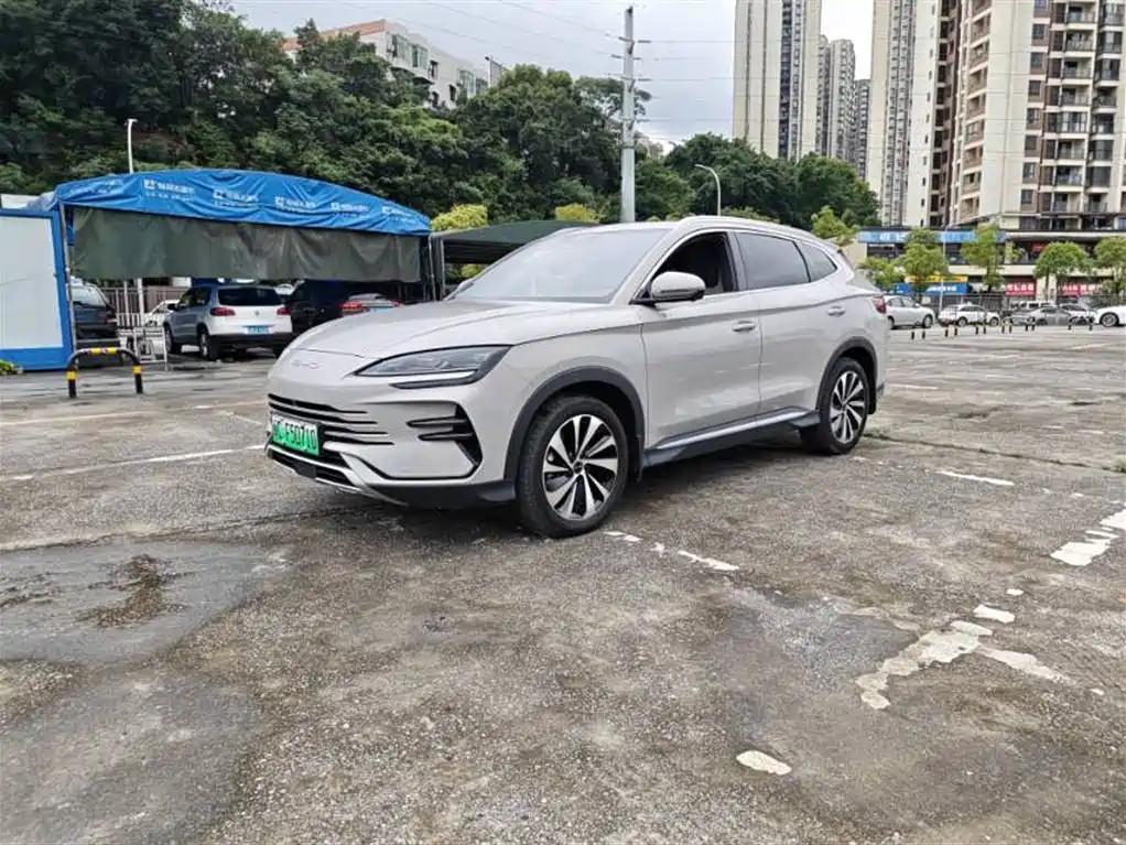 BYD PLUS New Energy 2024