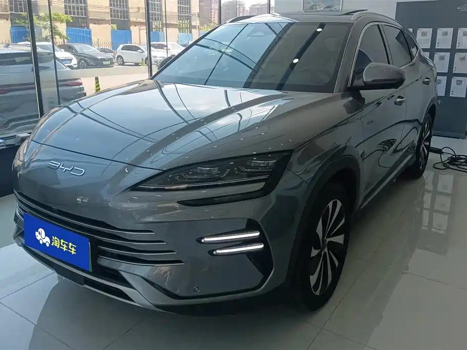 BYD PLUS New Energy 2024
