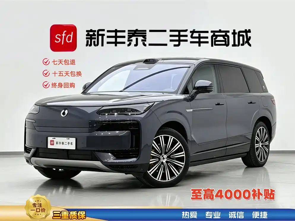Denza 腾势N9 2025