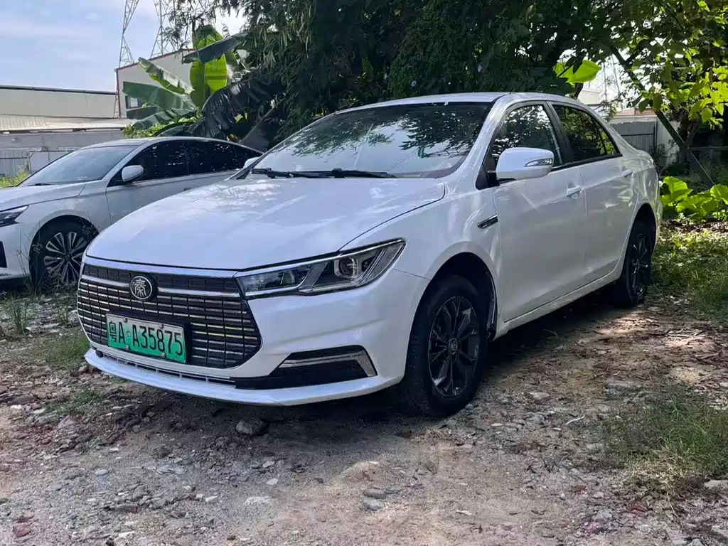 BYD Qin NEV 2021