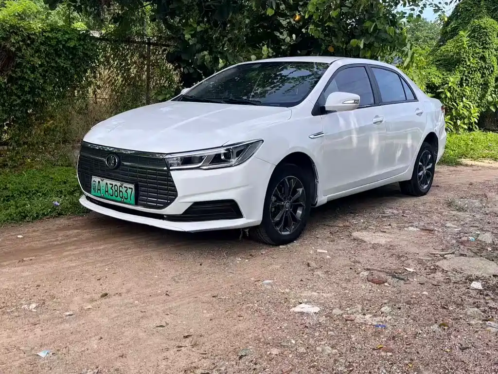 BYD Qin NEV 2021