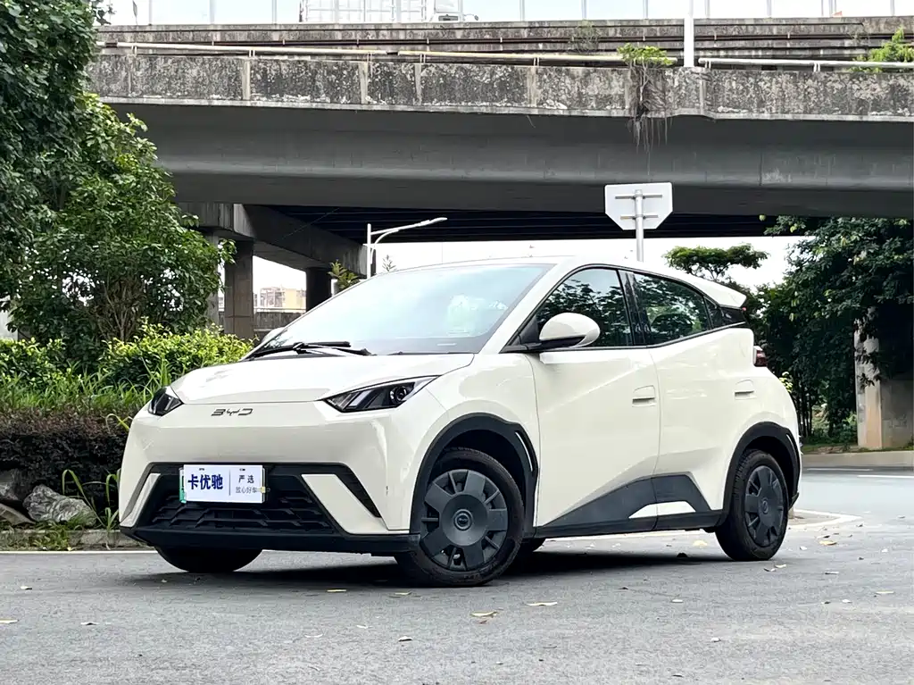 BYD Seagull 2024