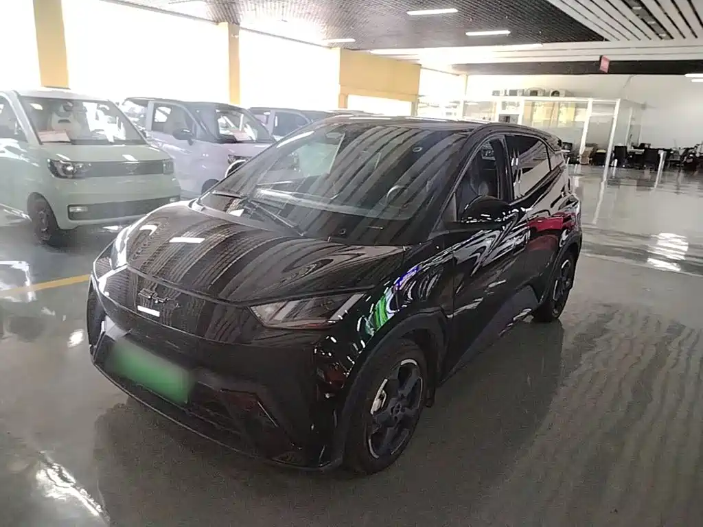 BYD Seagull 2024