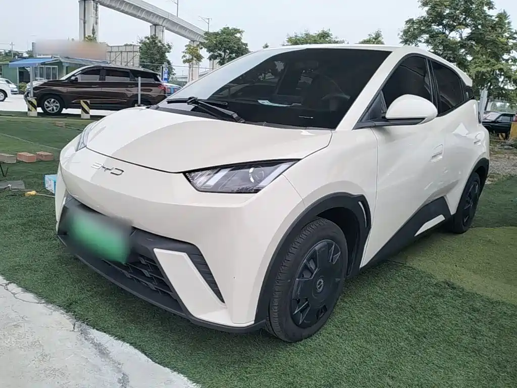BYD Seagull 2024