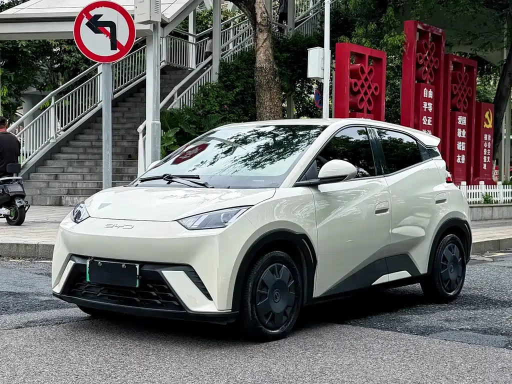 BYD Seagull 2024