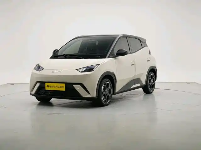 BYD Seagull 2024