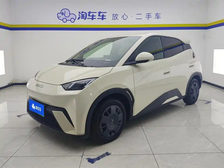 BYD Seagull 2024
