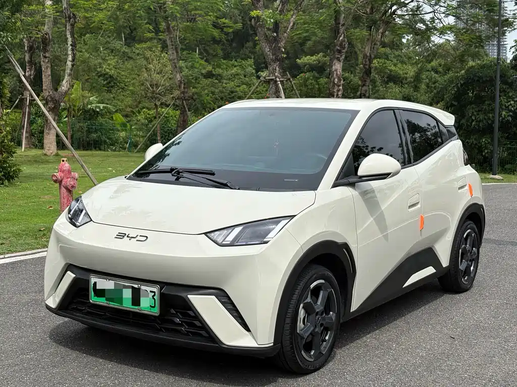 BYD Seagull 2024