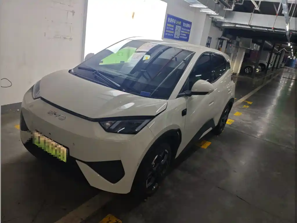 BYD Seagull 2025