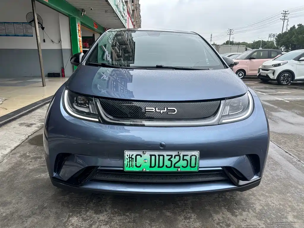 BYD Dolphin 2024