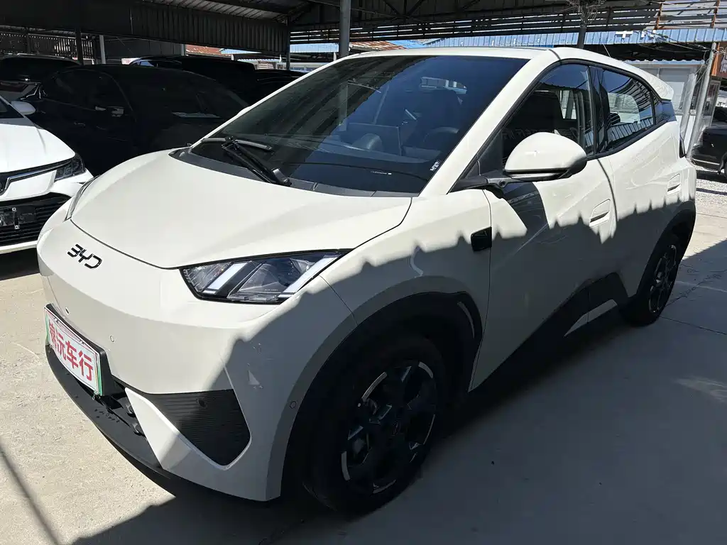 BYD Seagull 2026