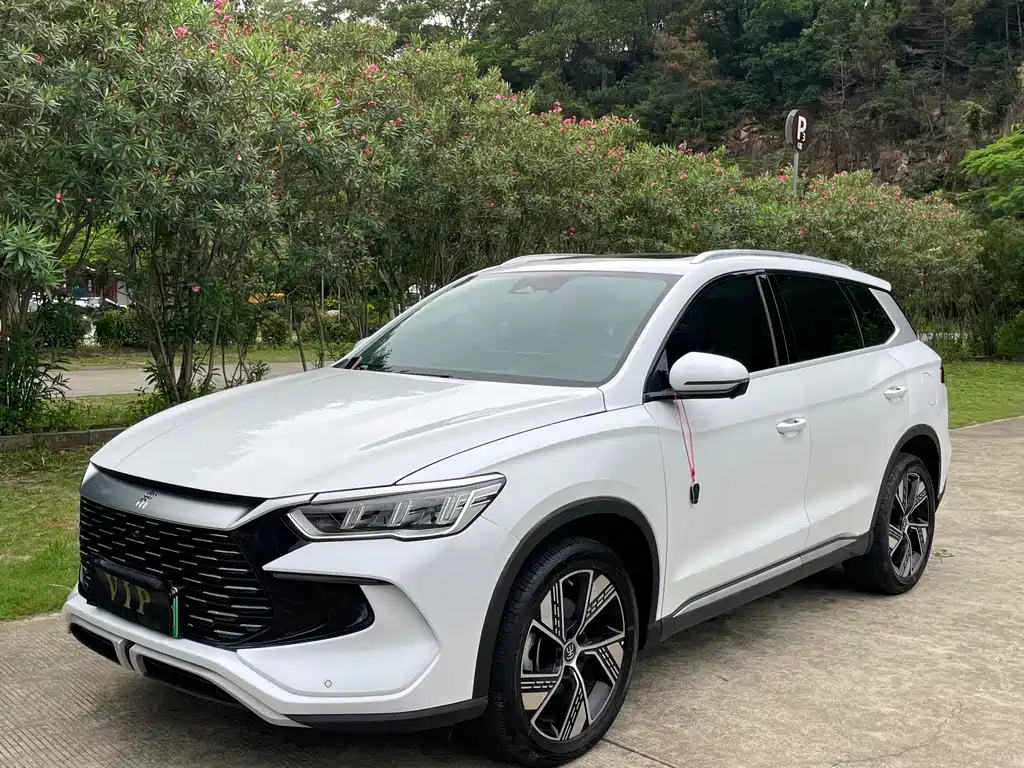BYD Pro New Energy 2024