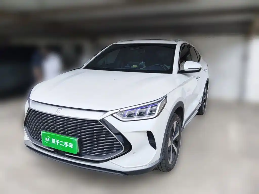 BYD PLUS New Energy 2022