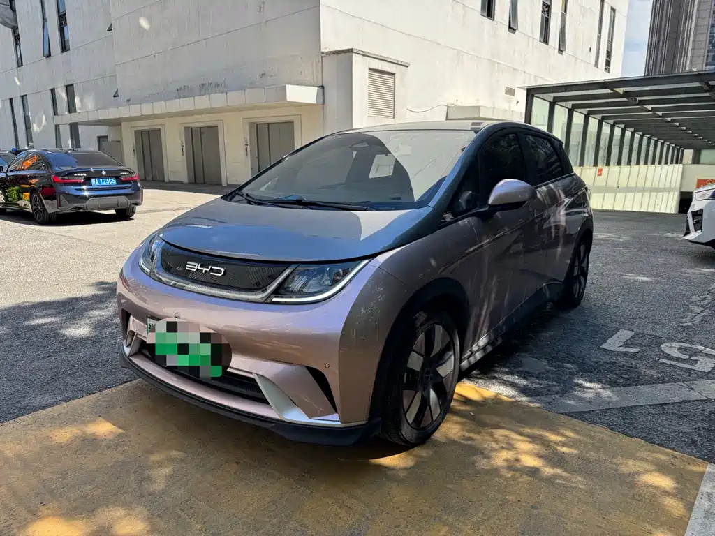 BYD Dolphin 2024