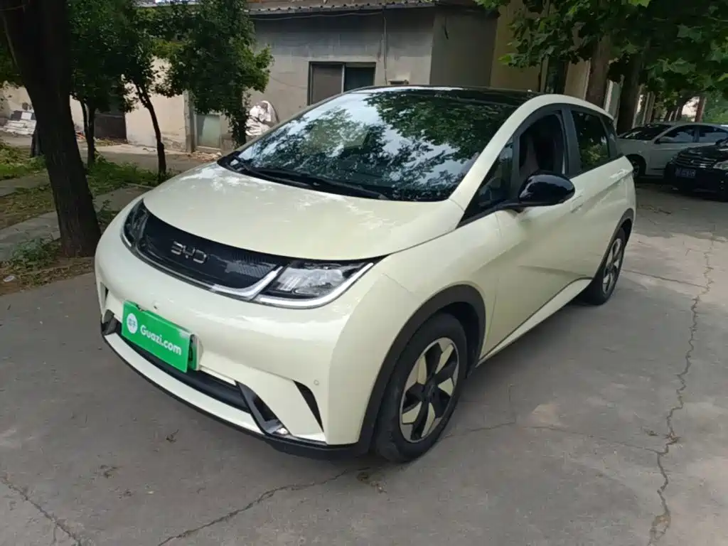 BYD Dolphin 2024