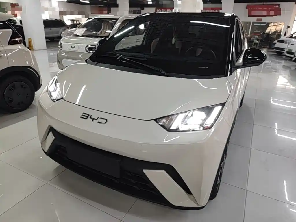 BYD Seagull 2024