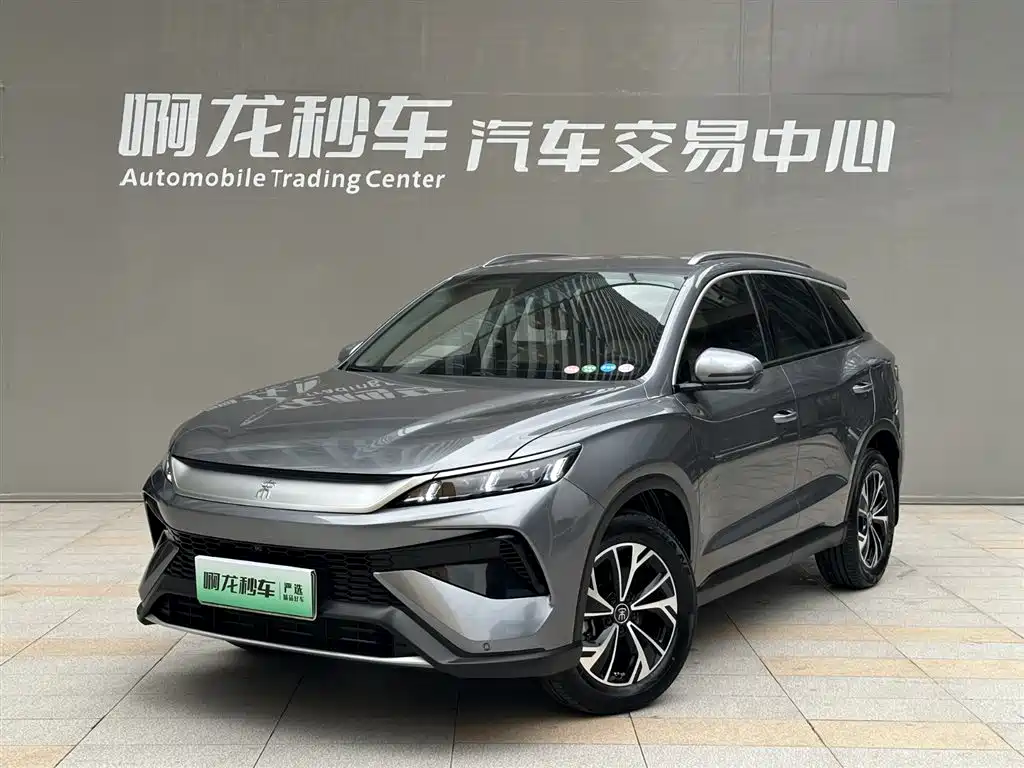 BYD Pro New Energy 2024