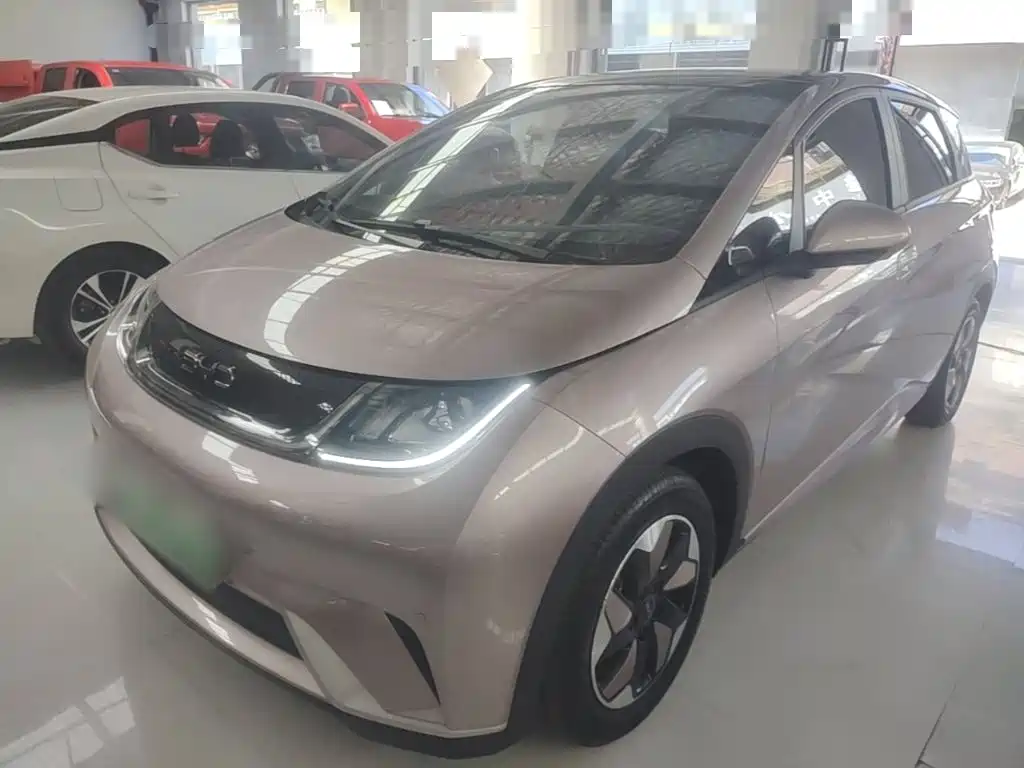 BYD Dolphin 2024