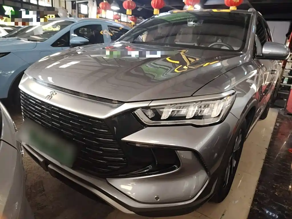 BYD Pro New Energy 2024
