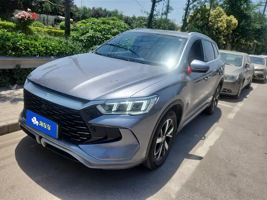BYD Pro New Energy 2024