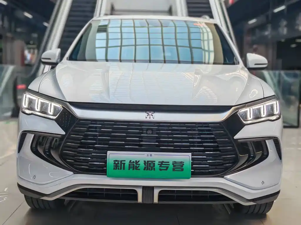 BYD Pro New Energy 2024