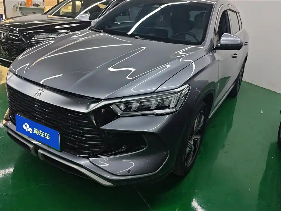BYD Pro New Energy 2024