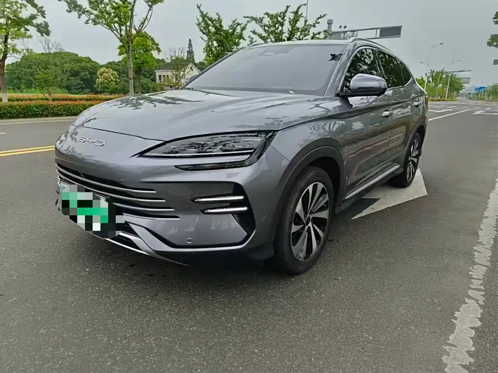 BYD PLUS New Energy 2024
