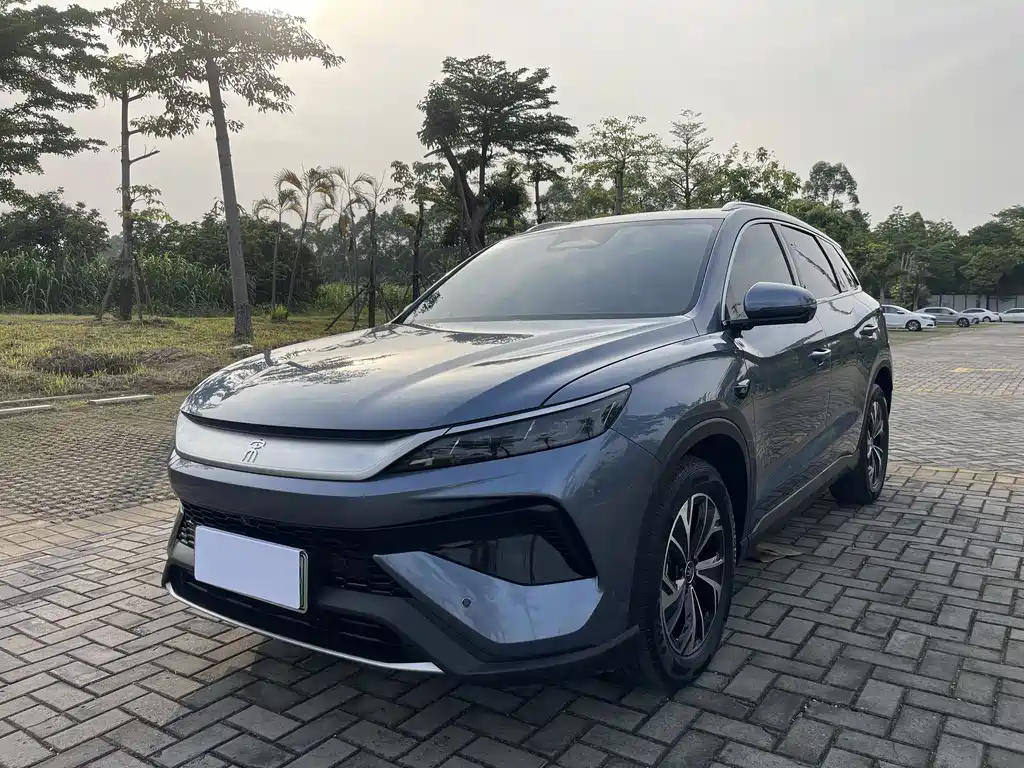 BYD Pro New Energy 2025
