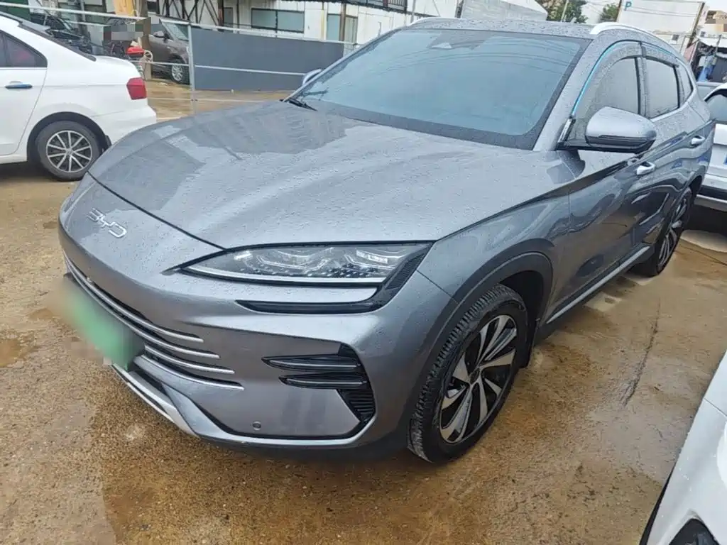 BYD PLUS New Energy 2024
