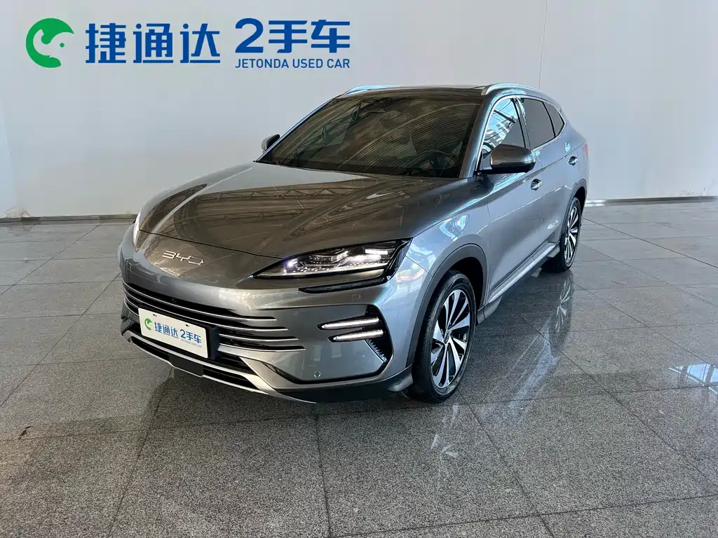 BYD PLUS New Energy 2024