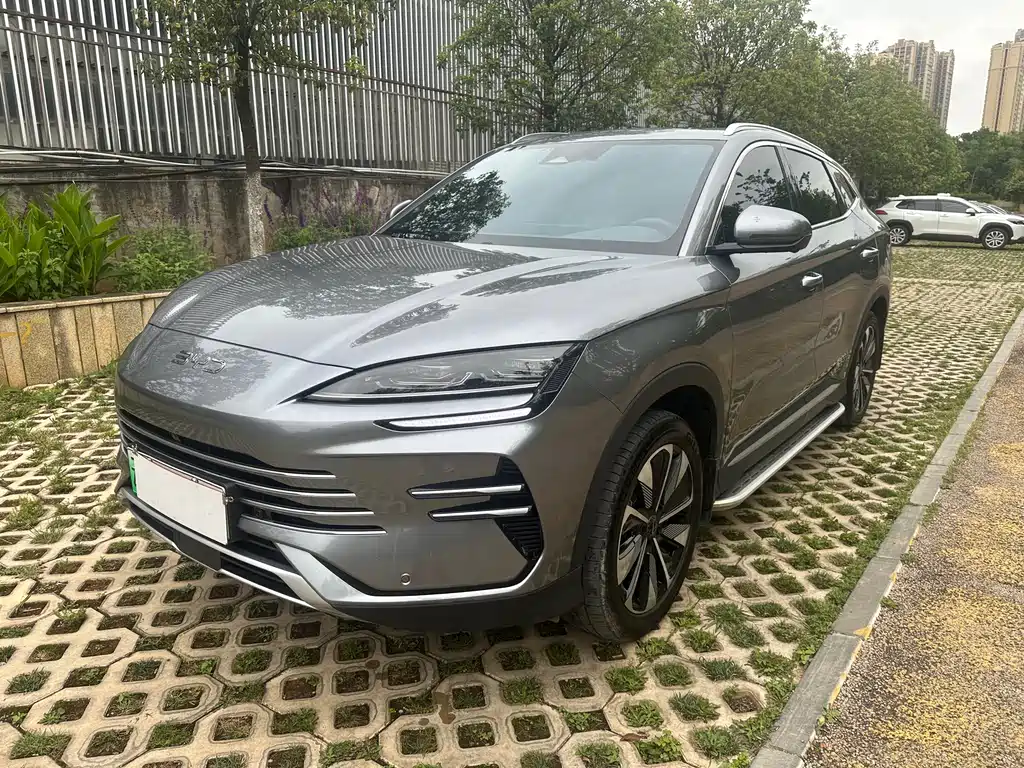BYD PLUS New Energy 2024