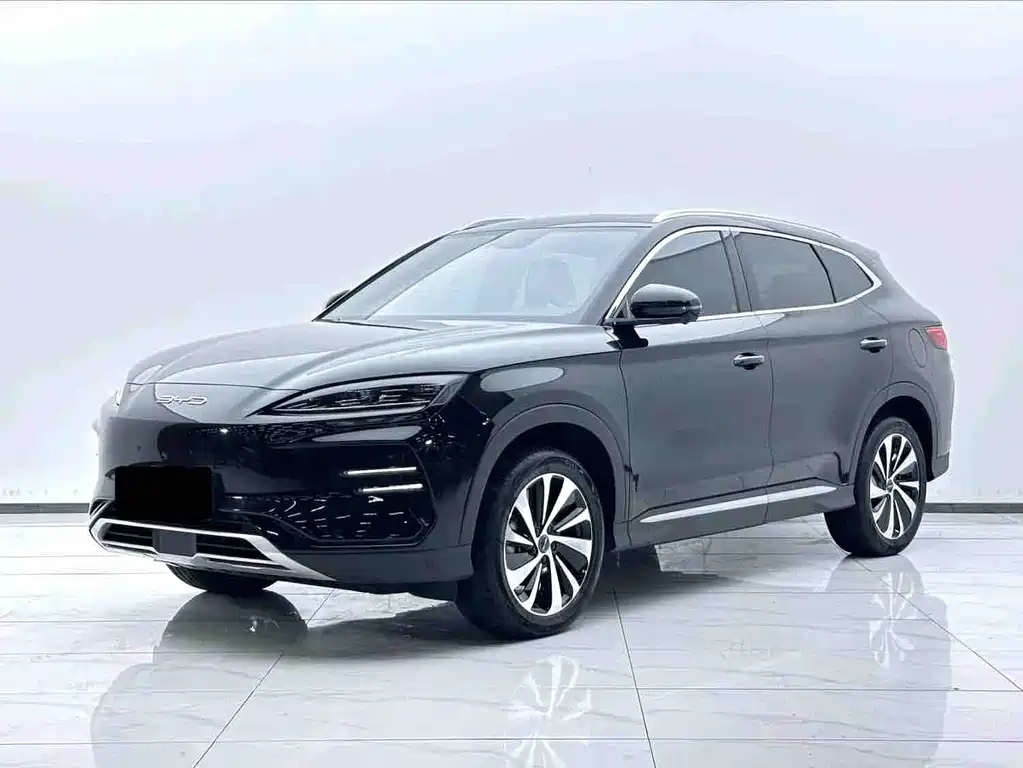 BYD PLUS New Energy 2024