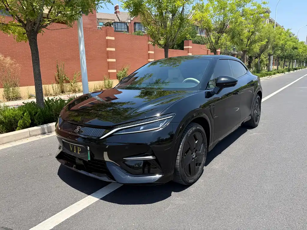 BYD L EV 2024