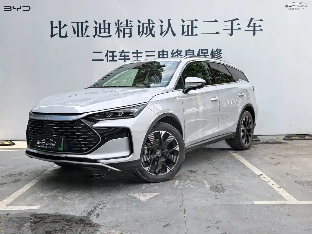 BYD Tang New Energy 2024