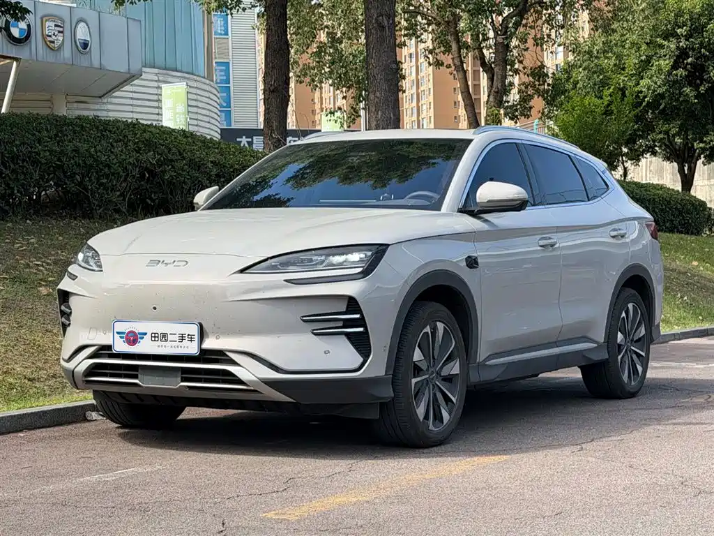 BYD PLUS New Energy 2025