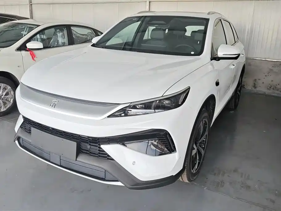 BYD Pro New Energy 2026