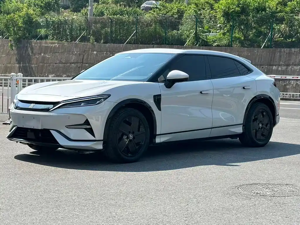 BYD L EV 2024