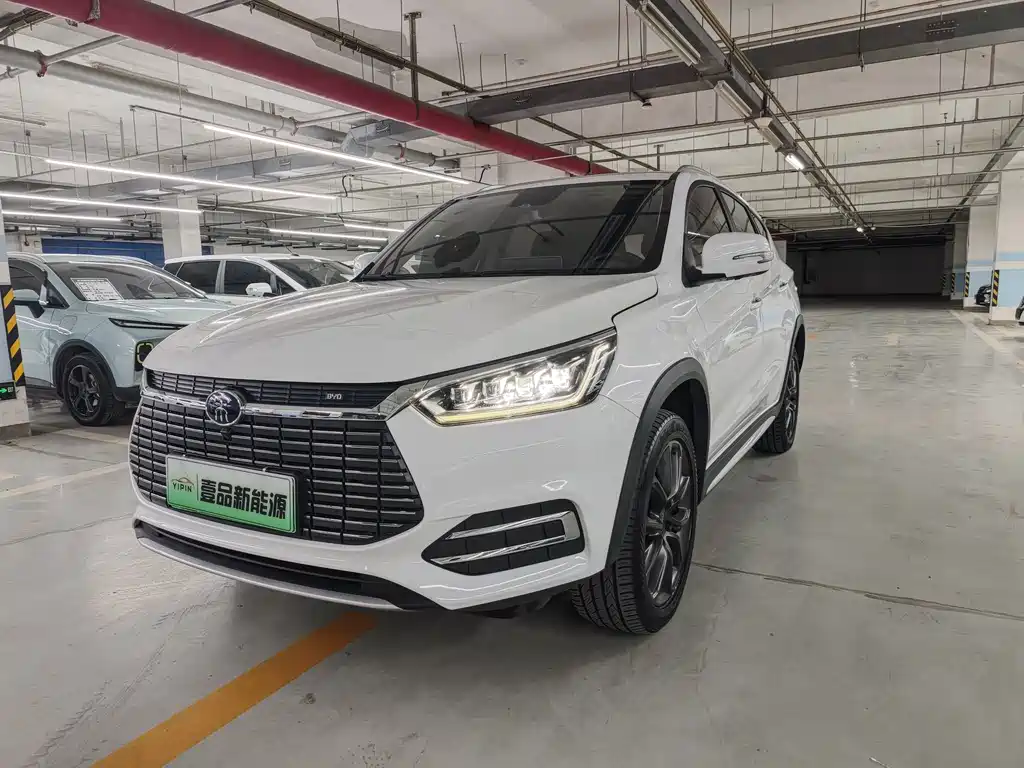 BYD New Energy 2019