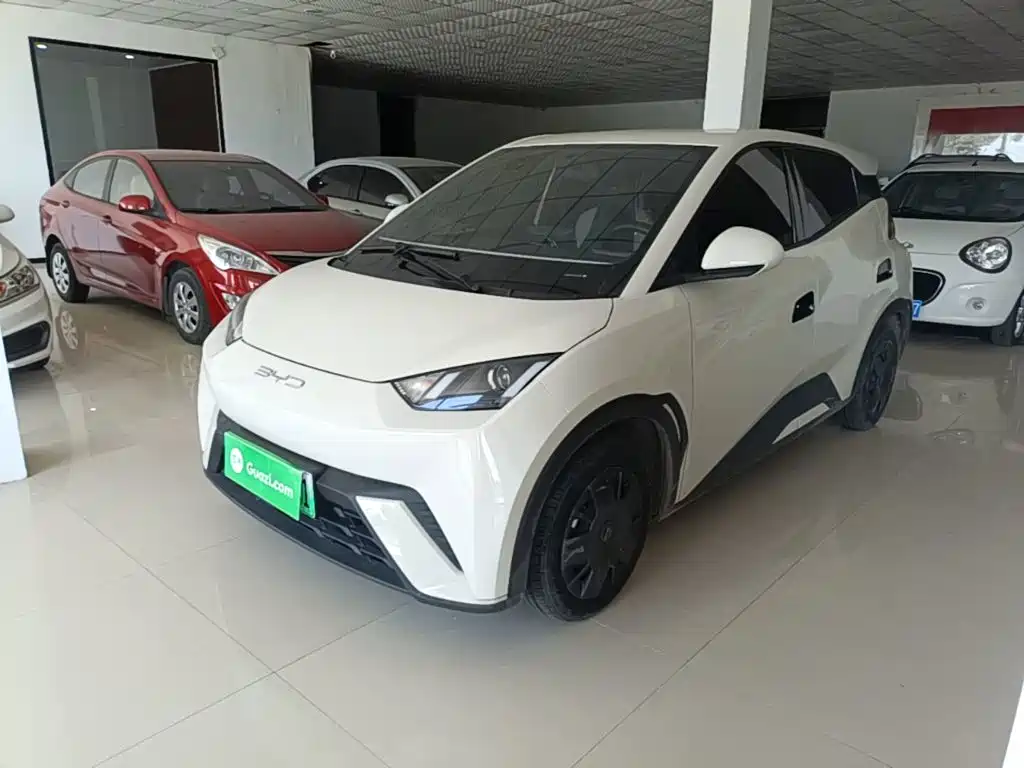 BYD Seagull 2024