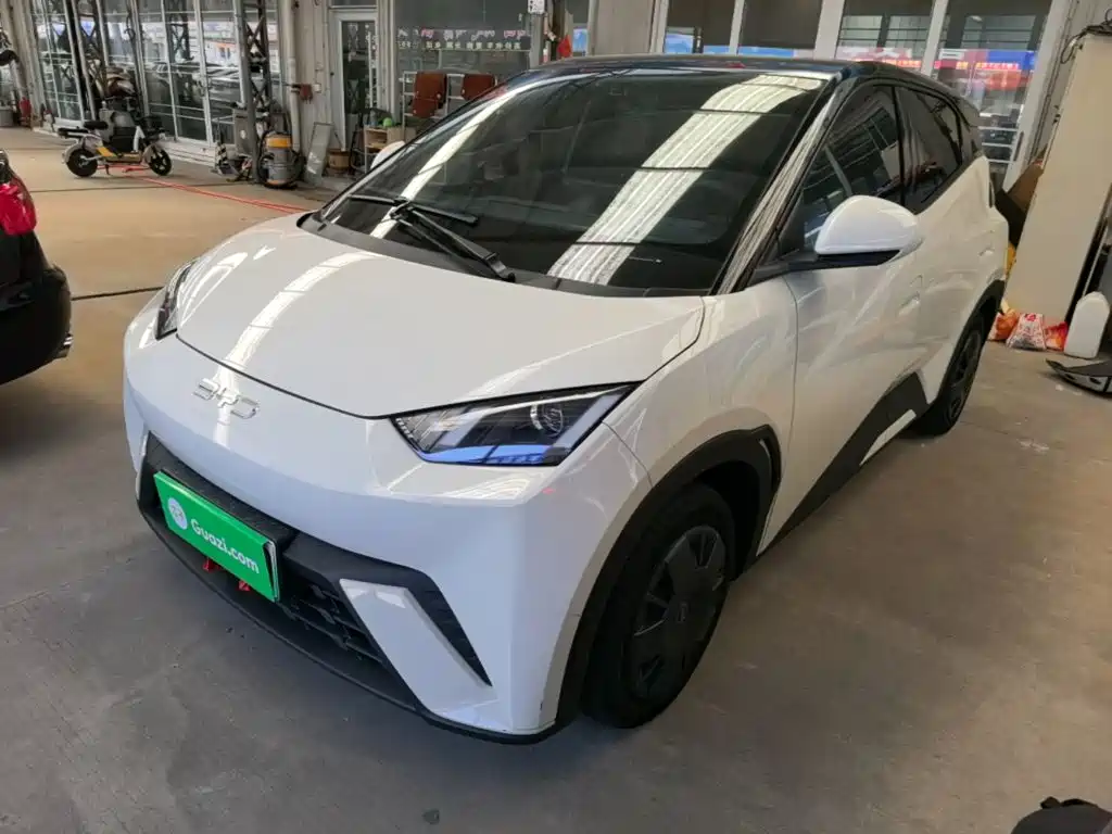 BYD Seagull 2024