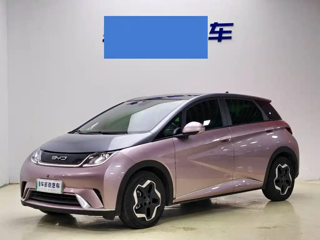 BYD Dolphin 2022