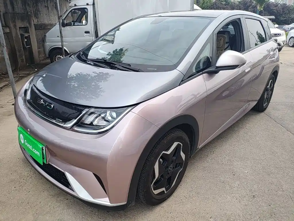 BYD Dolphin 2022