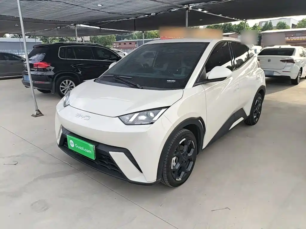 BYD Seagull 2024