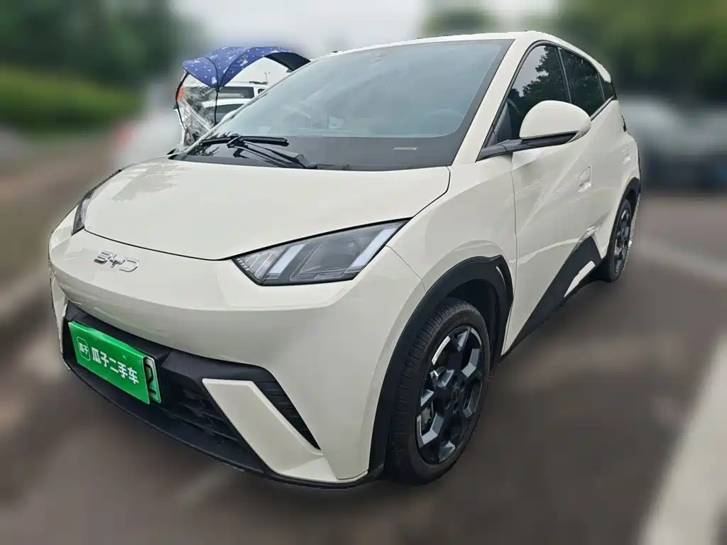 BYD Seagull 2025