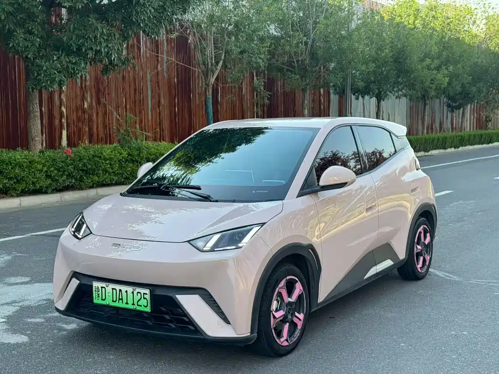 BYD Seagull 2024