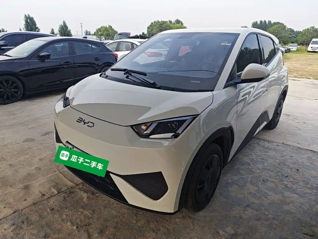 BYD Seagull 2025