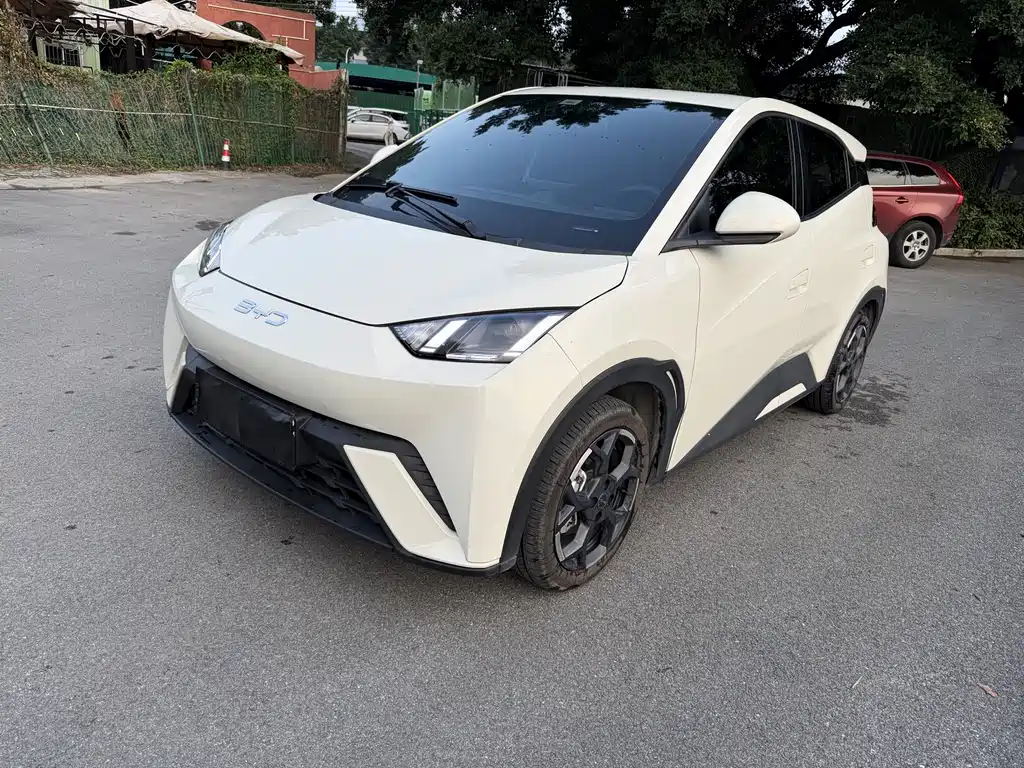 BYD Seagull 2024