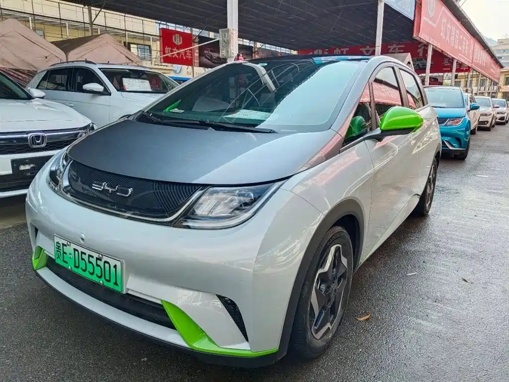 BYD Dolphin 2022