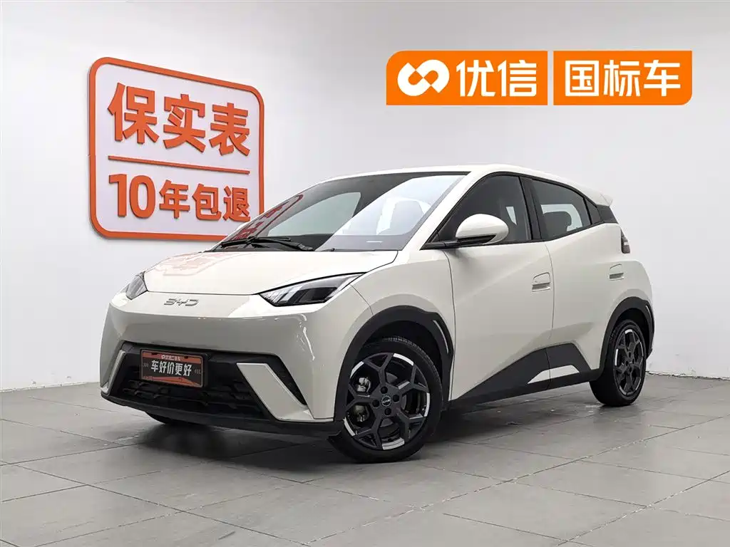 BYD Seagull 2025